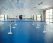 Thảm phòng Gym