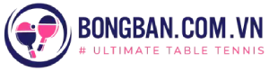 Công ty cổ phần Bóng Bàn Việt